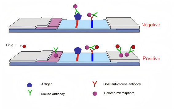 принцип аналізу сечі на наркотики