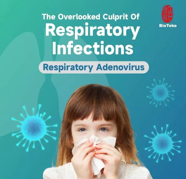 Аденовірус, часто не помічений вбивця дихальних інфекцій
